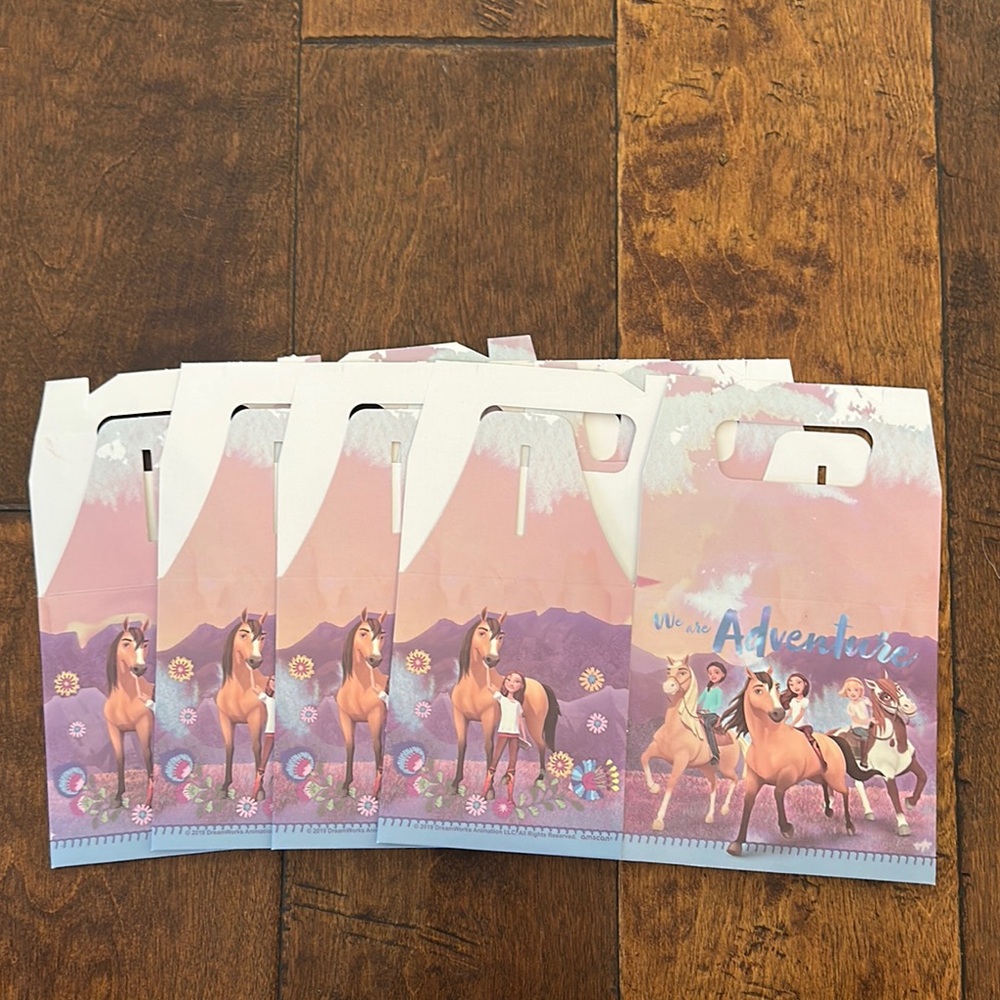 Set of 4 Dreamworks Spirit Party Favor Boxes